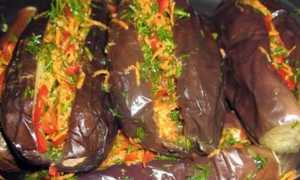 Заготовки на зиму: квашеные баклажаны фаршированные овощами